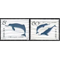 T57 White Flag Dolphin.