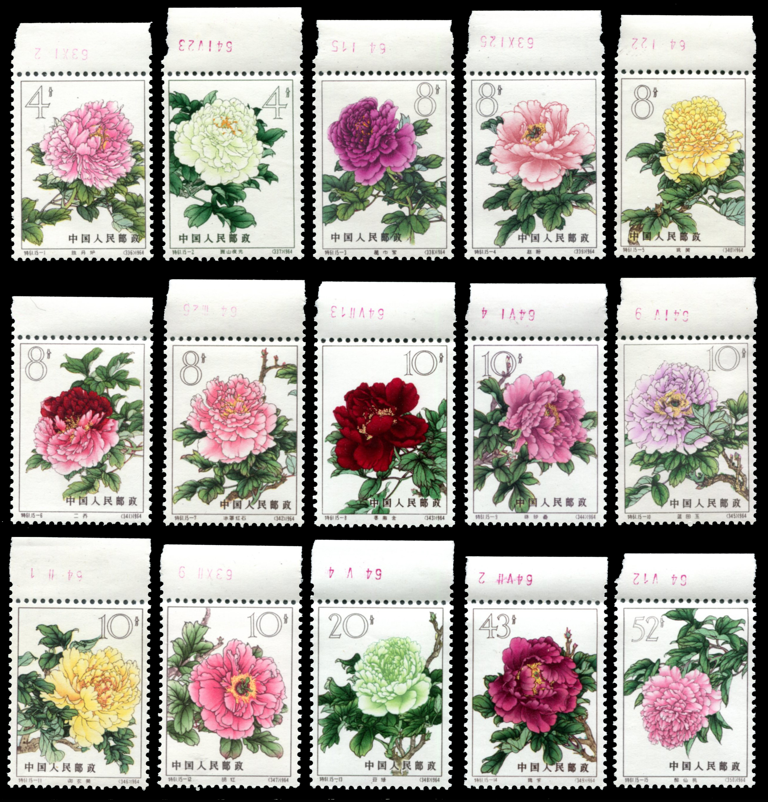 1964 特61牡丹花15枚全新带上边纸，除一枚外都带数字,原胶未贴洁白光润